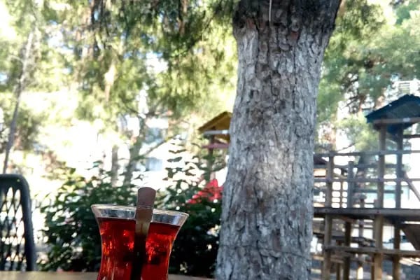 Fethiye Çocuk Oyun Parkı - Resim 2