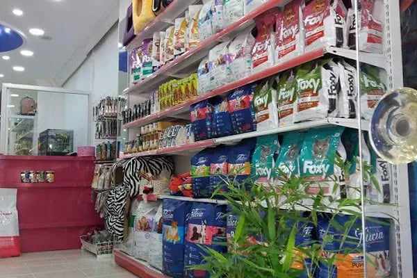 Pozitif PetShop - Resim 6