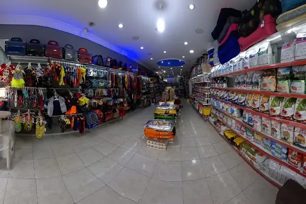 Pozitif PetShop - Resim 17