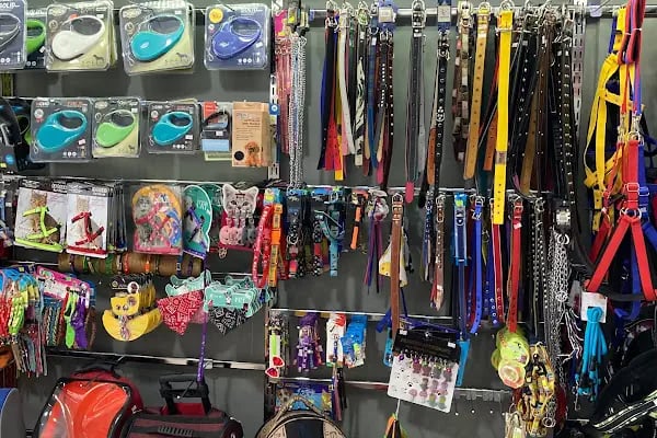 Pozitif PetShop - Resim 16