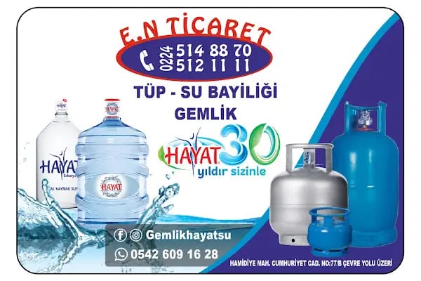 Gemlik Hayat Su - Resim 3
