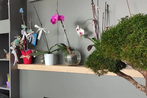Dent Center Ağız ve Diş Sağlığı Polikliniği Forum Center Şubesi,Konya, Uzman Diş Hekimi, İmplant, Zirkonyum, Ortodonti - Resim 20