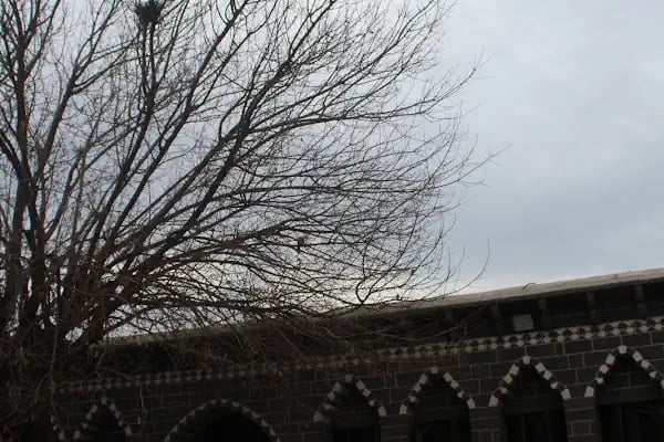 Diyarbakır Kent Müzesi - Resim 12