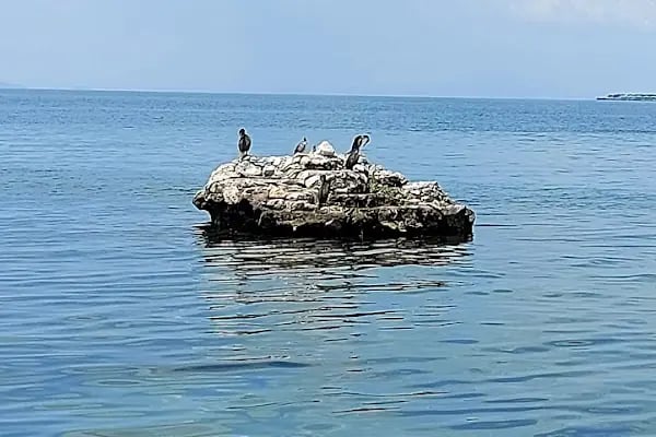 Akçay Eglence Lunepark - Resim 14