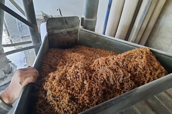Dondurmacı Bayram Usta - Resim 8