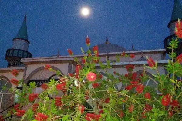 Özer Acıtaş Camii - Resim 14
