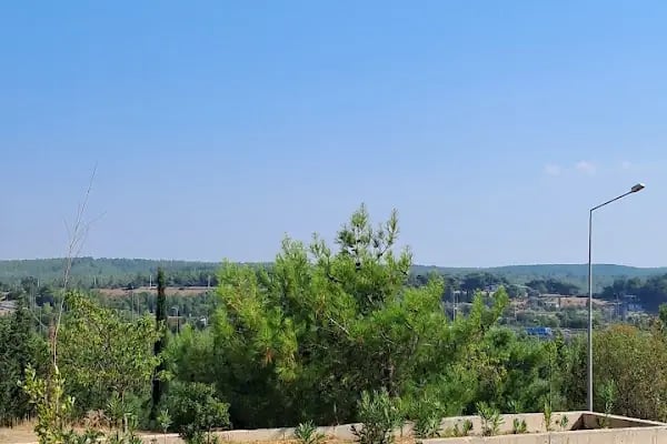 Dokuz Eylül Üniversitesi Güzel Sanatlar Enstitüsü - Resim 7
