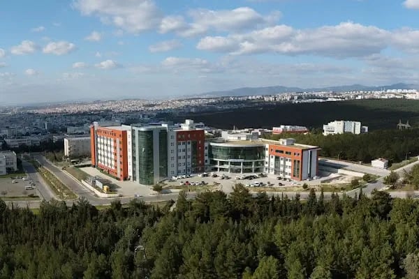 Dokuz Eylül Üniversitesi Güzel Sanatlar Enstitüsü - Resim 1