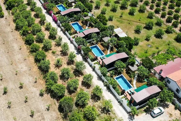 SB Green Garden - Resim 14