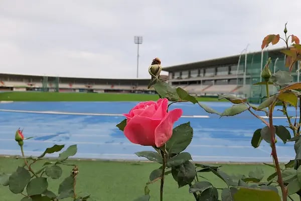 Söğütlü Atletizm Stadyumu - Resim 16