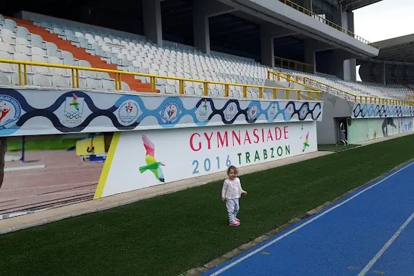 Söğütlü Atletizm Stadyumu - Resim 13