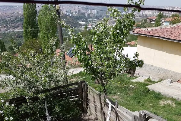 Kirazlıtepe Fatih Sultan Mehmed Cami - Resim 2