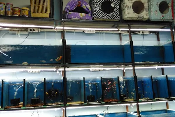 RANA PET SHOP - Resim 2