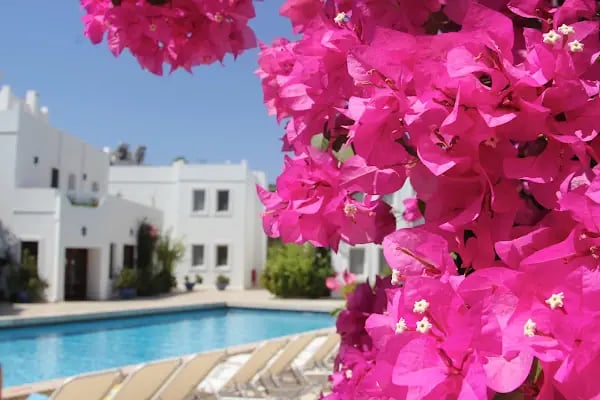 Seçkin Konaklar Hotel - Resim 7