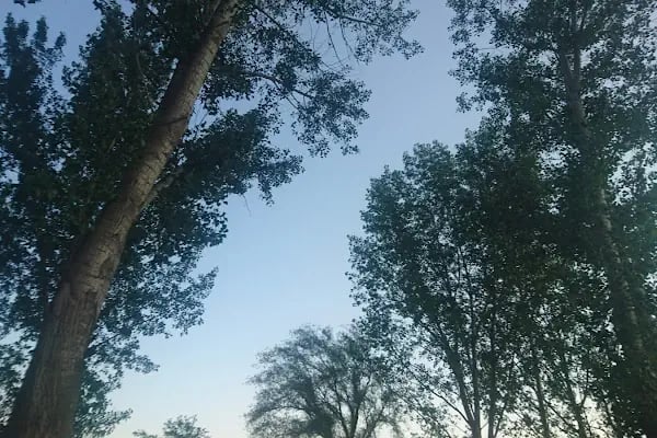 Giledes Kavakları Şiir Ve Dinlence Parkı - Resim 19