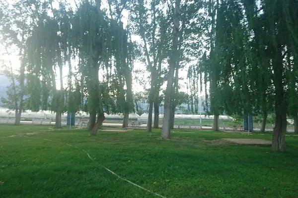Giledes Kavakları Şiir Ve Dinlence Parkı - Resim 4