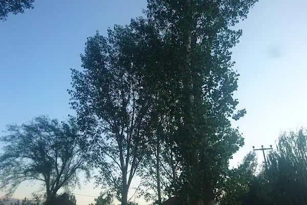 Giledes Kavakları Şiir Ve Dinlence Parkı - Resim 3