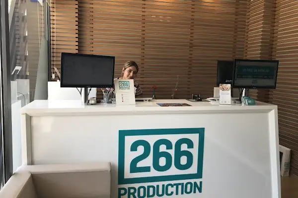 266 Production - Resim 19