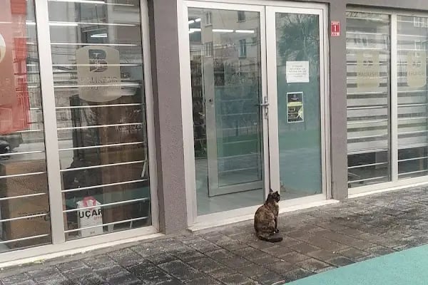 Ece Sıla Ünsal Kütüphanesi - Resim 6