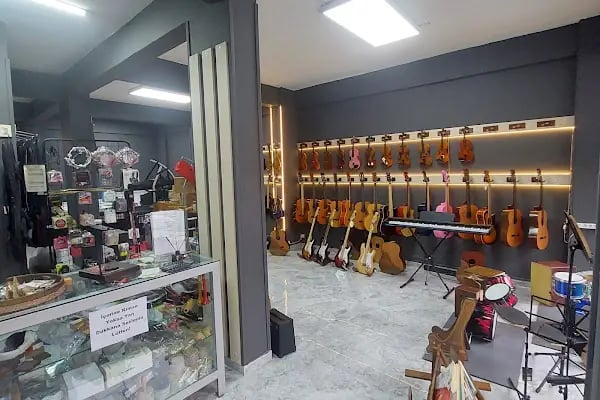 Donizetti Muzik Aletleri Toptan ve Perakende Satış Mağazası Enstrüman Tamir Atolyesi - Resim 8