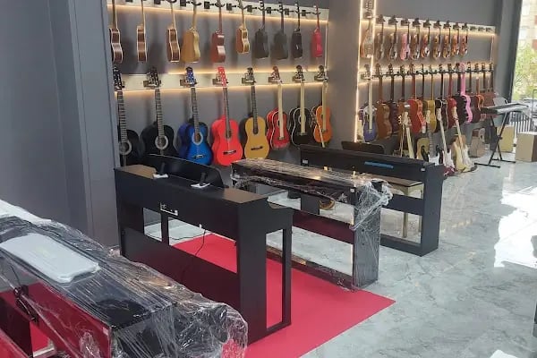 Donizetti Muzik Aletleri Toptan ve Perakende Satış Mağazası Enstrüman Tamir Atolyesi - Resim 11