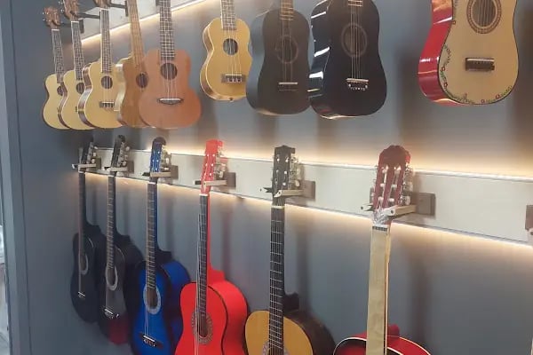 Donizetti Muzik Aletleri Toptan ve Perakende Satış Mağazası Enstrüman Tamir Atolyesi - Resim 9