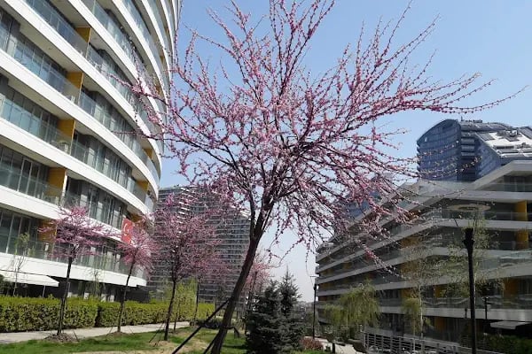 Bağcılar Belediyesi Kadir Topbaş Halk Sarayı - Resim 15
