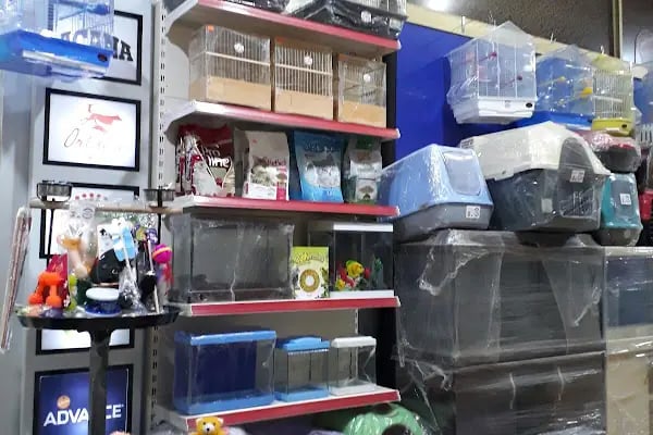 Nezih Petshop Evcil Hayvan Malzemeleri - Resim 17