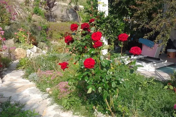 Turkuaz Tatil Sitesi - Resim 12