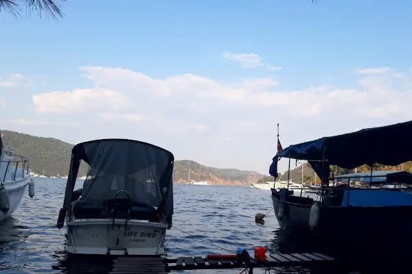 Göcek ücretsiz kamp alanı - Resim 11