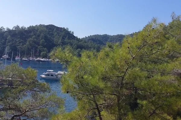 Göcek ücretsiz kamp alanı - Resim 5