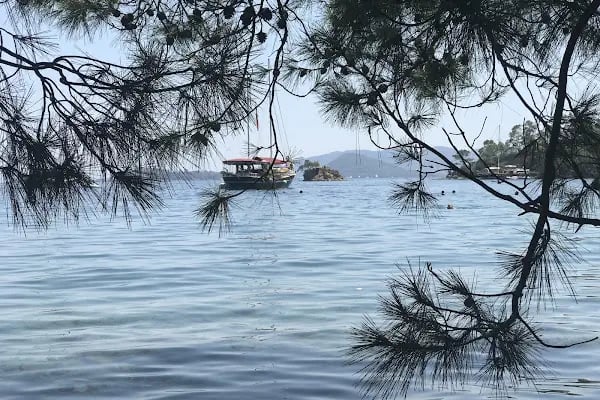 Göcek ücretsiz kamp alanı - Resim 6