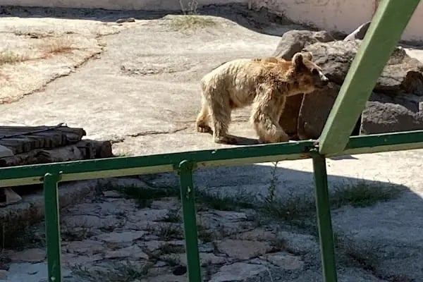 Gaziantep Harikalar Parkı - Resim 20