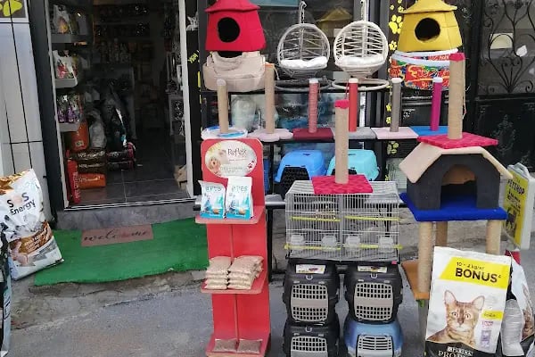 BALÇOVA SILA PETSHOP - Resim 13