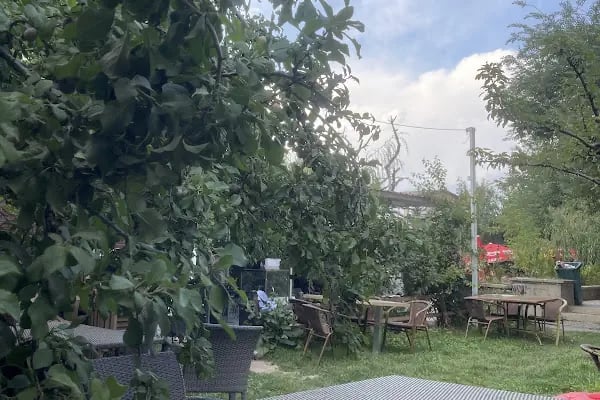 Altınsu Balık Restoran - Resim 16