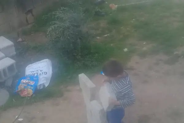 DOĞAN HALI SAHA - Resim 4