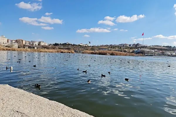Atatürk Sahil Parkı - Resim 5
