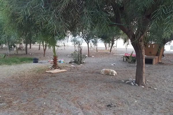 YANIKLAR DOĞA KAMP - Resim 13