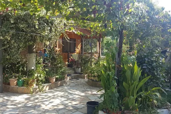 YANIKLAR DOĞA KAMP - Resim 15