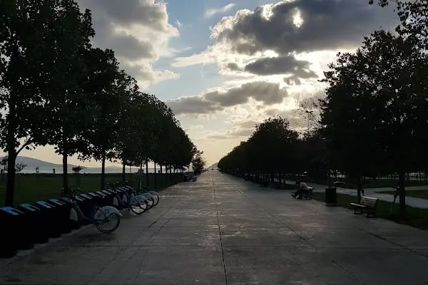 Veni Vidi Göz Atalar - Resim 14