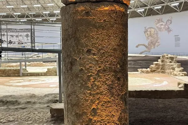 Haleplibahçe Mozaik Müzesi - Resim 18