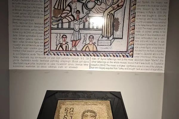 Haleplibahçe Mozaik Müzesi - Resim 17