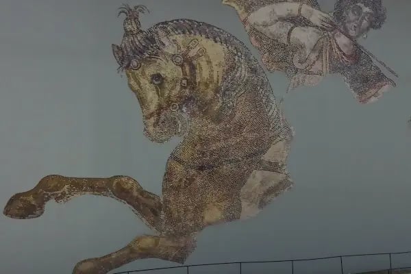 Haleplibahçe Mozaik Müzesi - Resim 14
