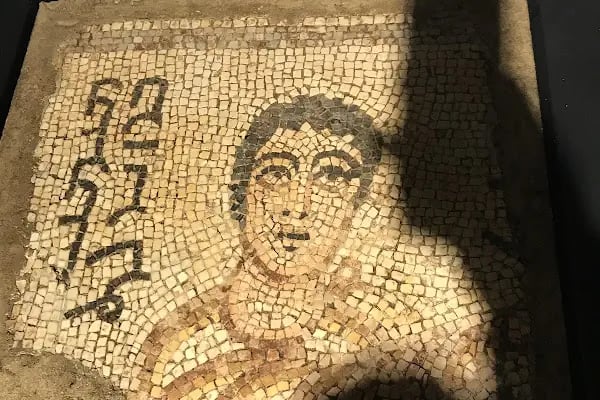 Haleplibahçe Mozaik Müzesi - Resim 16