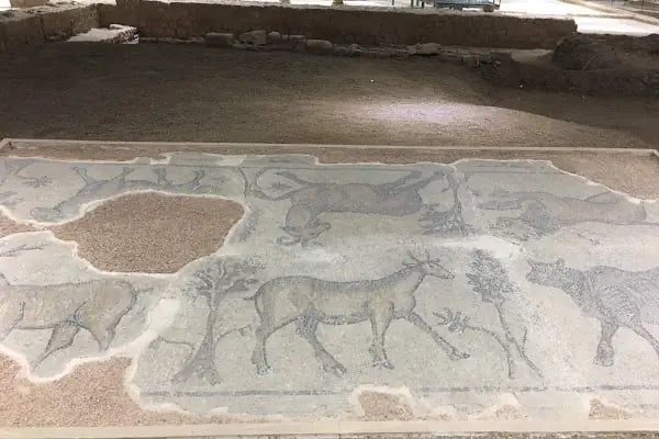 Haleplibahçe Mozaik Müzesi - Resim 7