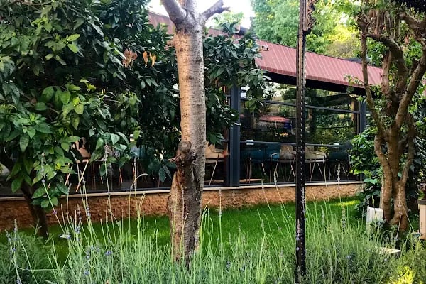 No:2 Garden Restaurant ( By Şükrü ) - Resim 5