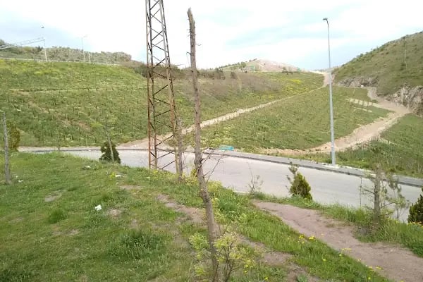 Katip Çelebi İlkokulu - Resim 6