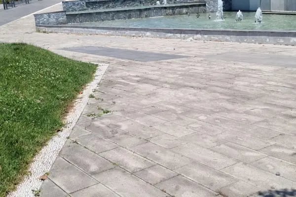 Arnavutköy Belediyesi - Resim 11