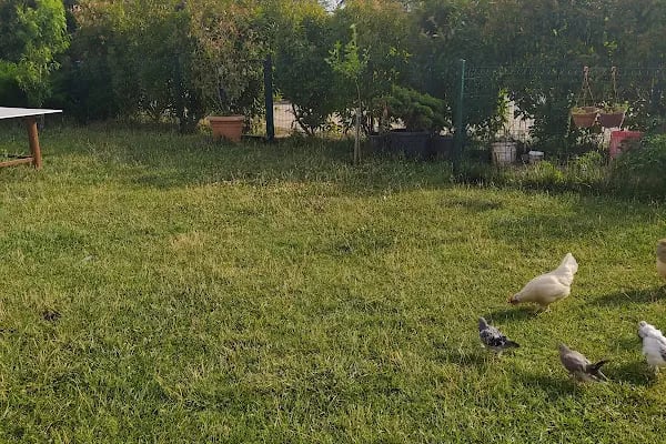 Kuştepe Kır Düğün Salonu - Resim 17