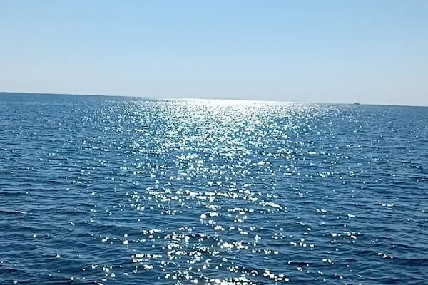 FOTO ÖZGÜR - Resim 8
